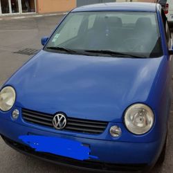 Square lupo