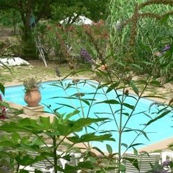 Square pool 4
