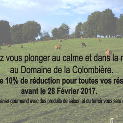 Square re duction facebook camping 2017