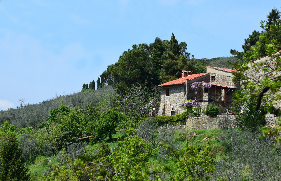 Casale1