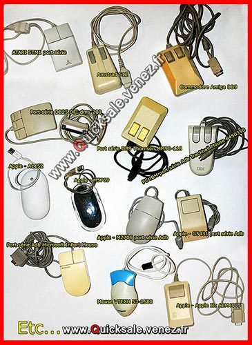 Qs1 souris