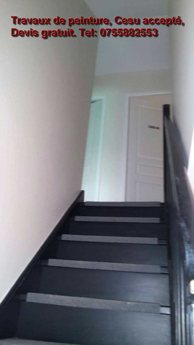 Mont e d escalier renov e cesu accept 0755882553 compressed