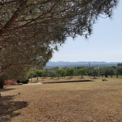 Square 30