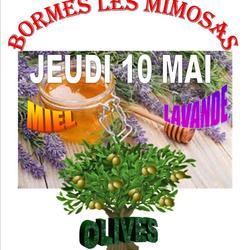 Square bormes miel