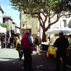Square neoules5