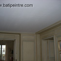 Square renovation plafond cesu devis gratuit