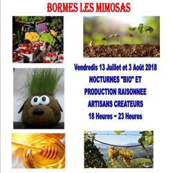 Square 2018 bormes nocturnes bio