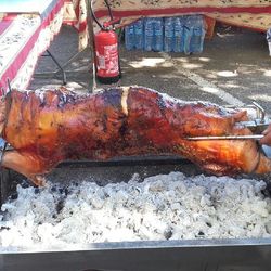Square cochon 1