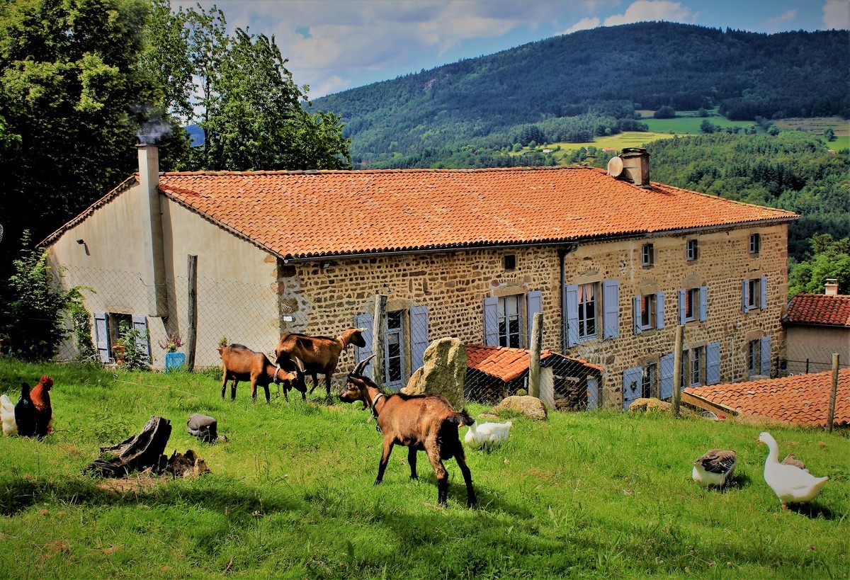 1 gite au temps passe copie