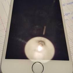 Square 12162241 10207784508034785 654737492 o