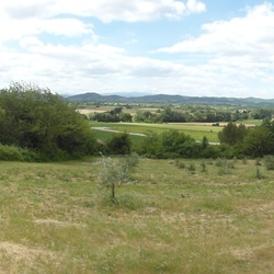 Square panorama