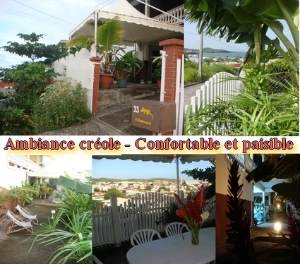 1 jardin