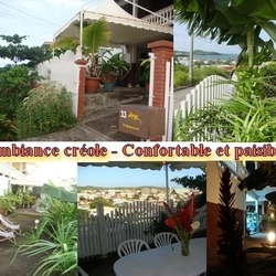 Square 1   jardin