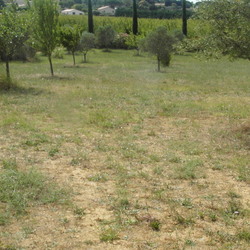 Square terrain