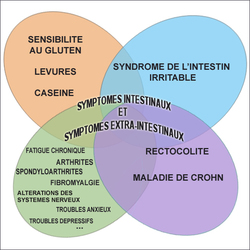 Square gluten11