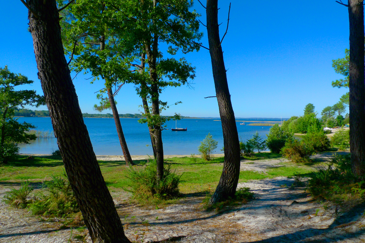 Plages lac sanguinet