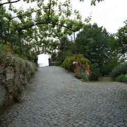 Square chemin qinta  medium 