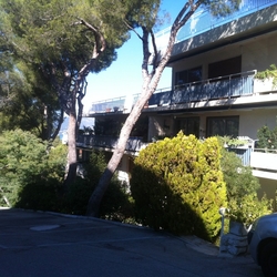 Square img 1199