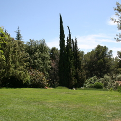Square img 5686  2 