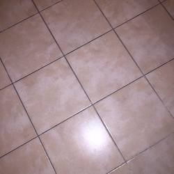 Square 12380471 1664106087181932 1099837745 n