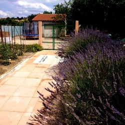 Square all e du potager 6