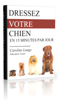 Cover dressagechien
