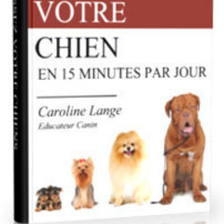Square cover dressagechien