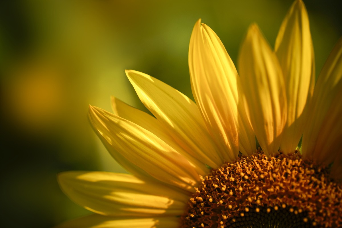 Adobestock 74066674