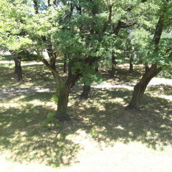 Square jardin