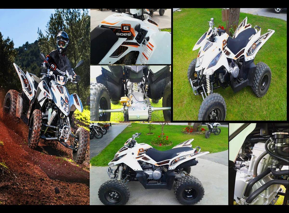 Quad greg