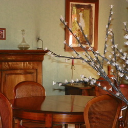 Square salle   manger