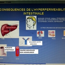 Square consequences de l hyperpermeabilite intestinale