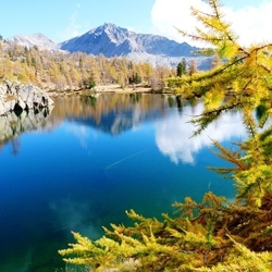 Square lac graverette