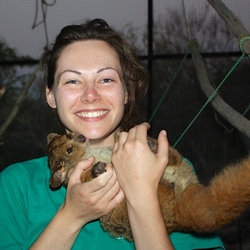 Square volunteer with bushbaby
