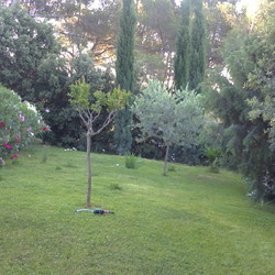 Square 002