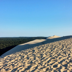 Square mobilandes dune foret