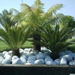 Square 9