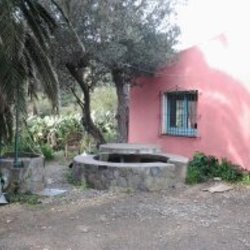 Square 1363421201273