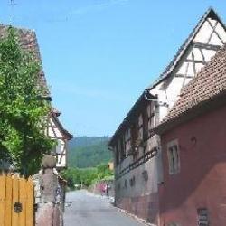 Square image