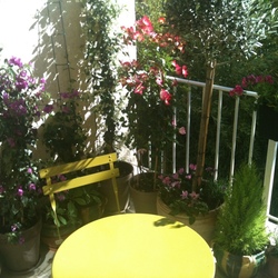 Square img 0768