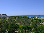 2 picture6