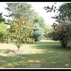 Square image