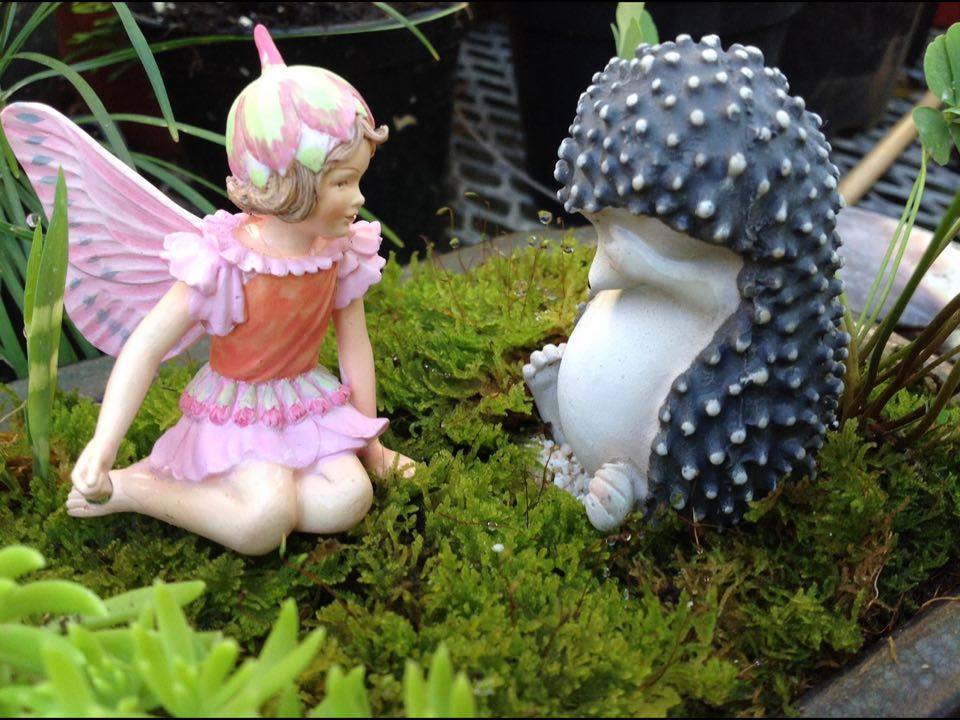 Kokone 2