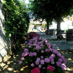 Square salon de jardin  5  