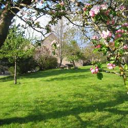 Square pommier