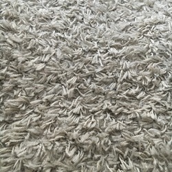 Square img 2530