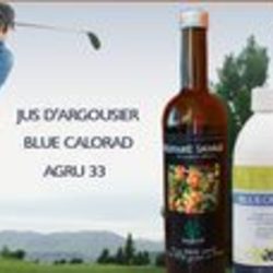 Square bluagrujus1