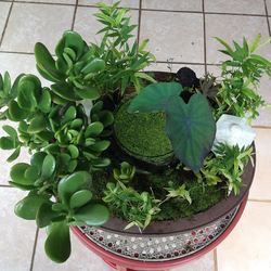 Square pot vert