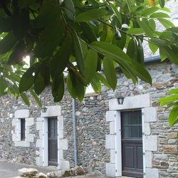 Square sdc13216