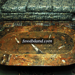 Square table basse fossilise